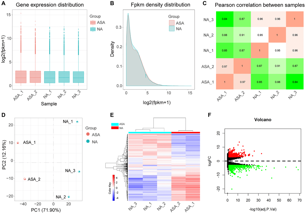 Analysis of DEGs. Boxplot (A) and density plot (B) showing that gene expression levels of different samples are evenly distributed. (C) Correlation diagram of gene expression level between samples indicates that the correlation coefficient between samples of the same group is high and the sample selection is reliable. (D) Principal component analysis diagram (PCA) showing that samples of different groups were significantly different, and samples within the same group were relatively uniform. (E) Heat map of DEGs, red represents high expression, blue represents low expression. (F) Volcano map of DEGs, screening parameters were |logFC|>3, adj.P.Val p.Val: corrected p-value.