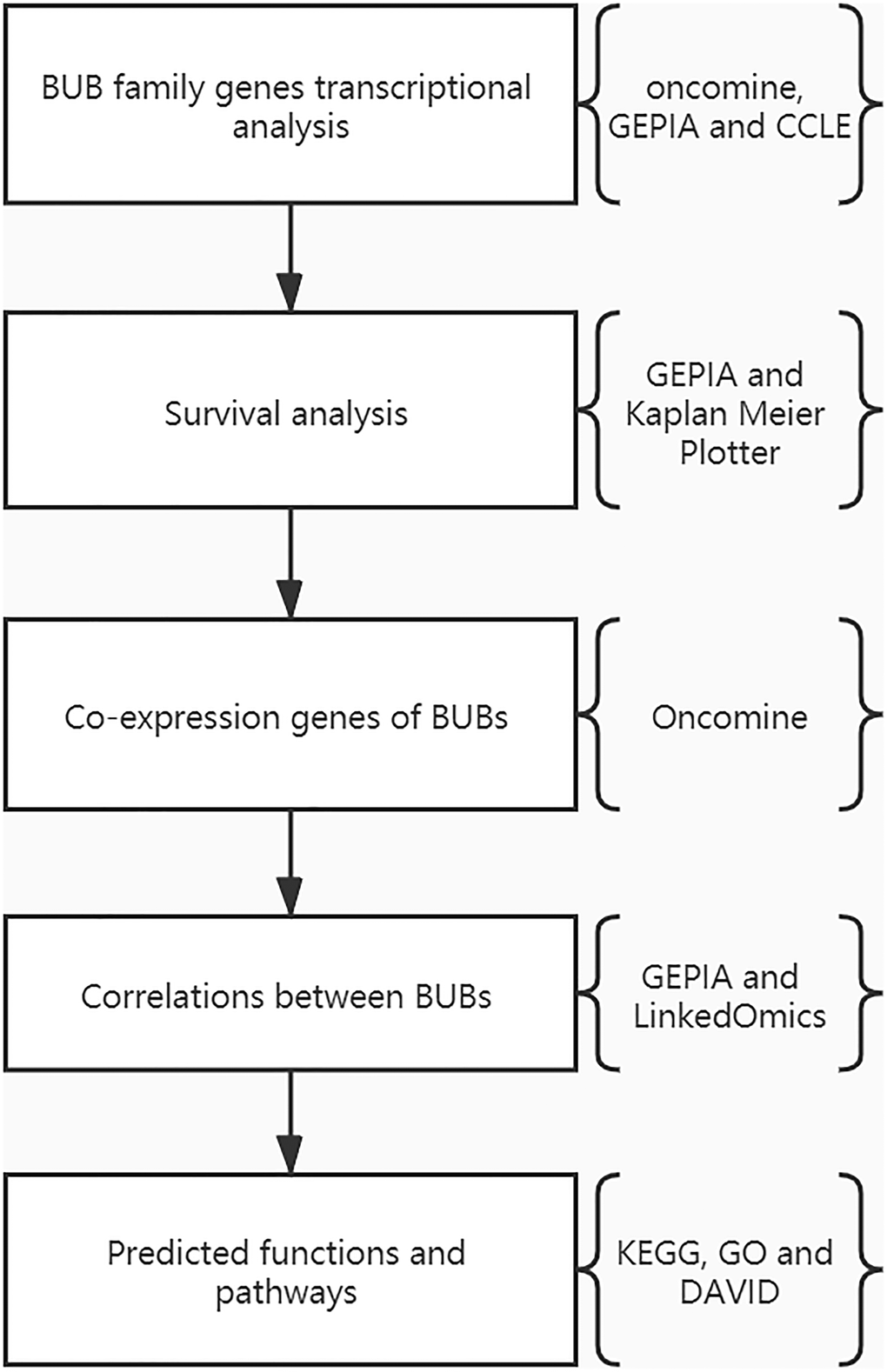 The flowchart of this study.