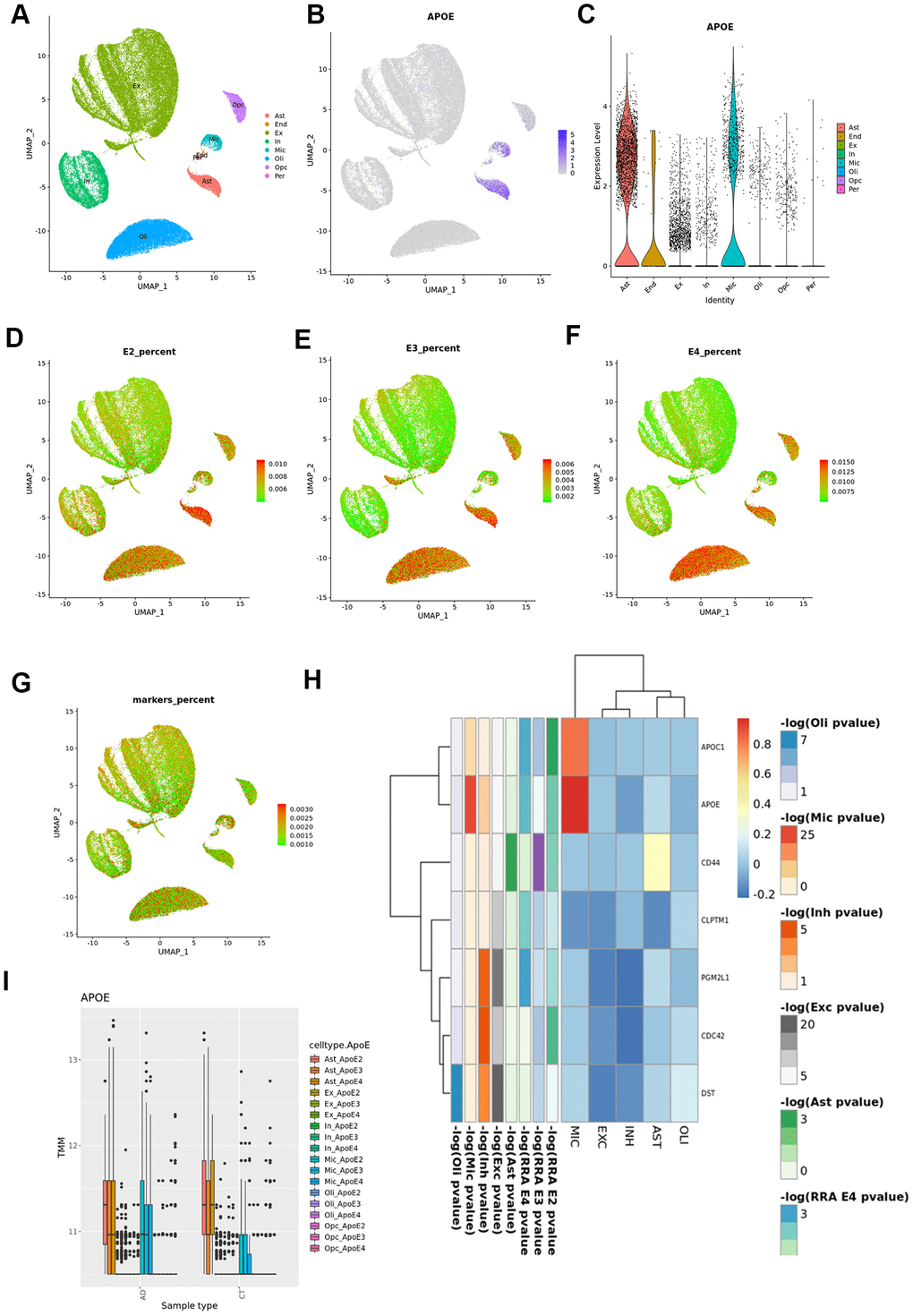 Cortex snRNAseq data from the ROSMAP study. (A) Cell clustering labelled by reported cell type; (B) APOE expression across cell types; (C) violin plot for APOE expression by cell type; (D) UMAP plot for average expression of cortex RRA APOE2 candidates by total gene expression; (E) UMAP plot for average expression of cortex RRA APOE3 candidates by total gene expression; (F) UMAP plot for average expression of cortex RRA APOE4 candidates by total gene expression; (G) UMAP plot for average expression of blood/cortex biomarkers by total gene expression; (H) expression by cell type of the seven genes in common in all the RRA analyses; (I) APOE expression by cell type and case status.