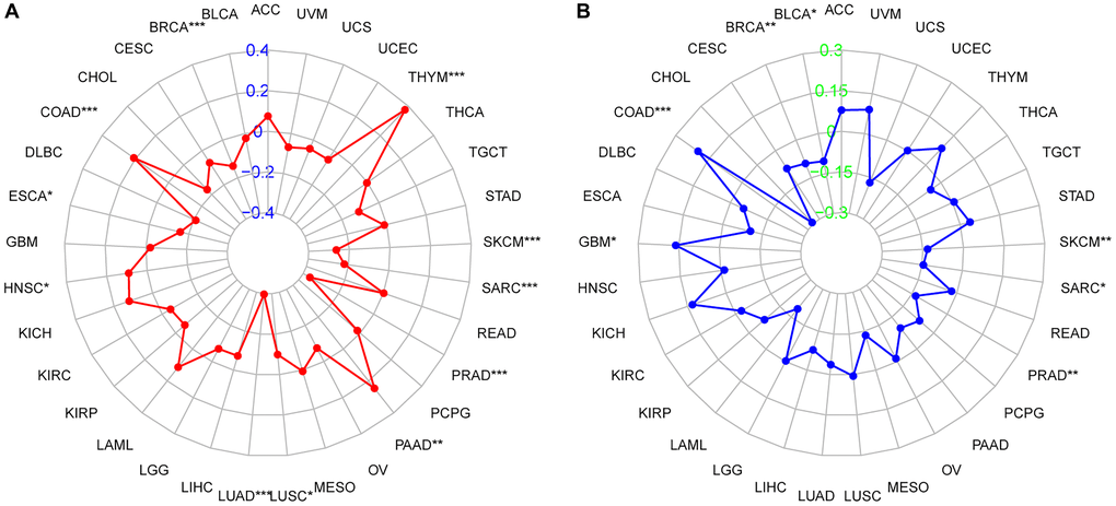 Radar chart of the correlation between ZBTB7C and (A) tumor mutational burden (TMB) and (B) microsatellite instability (MSI) in pancancer.