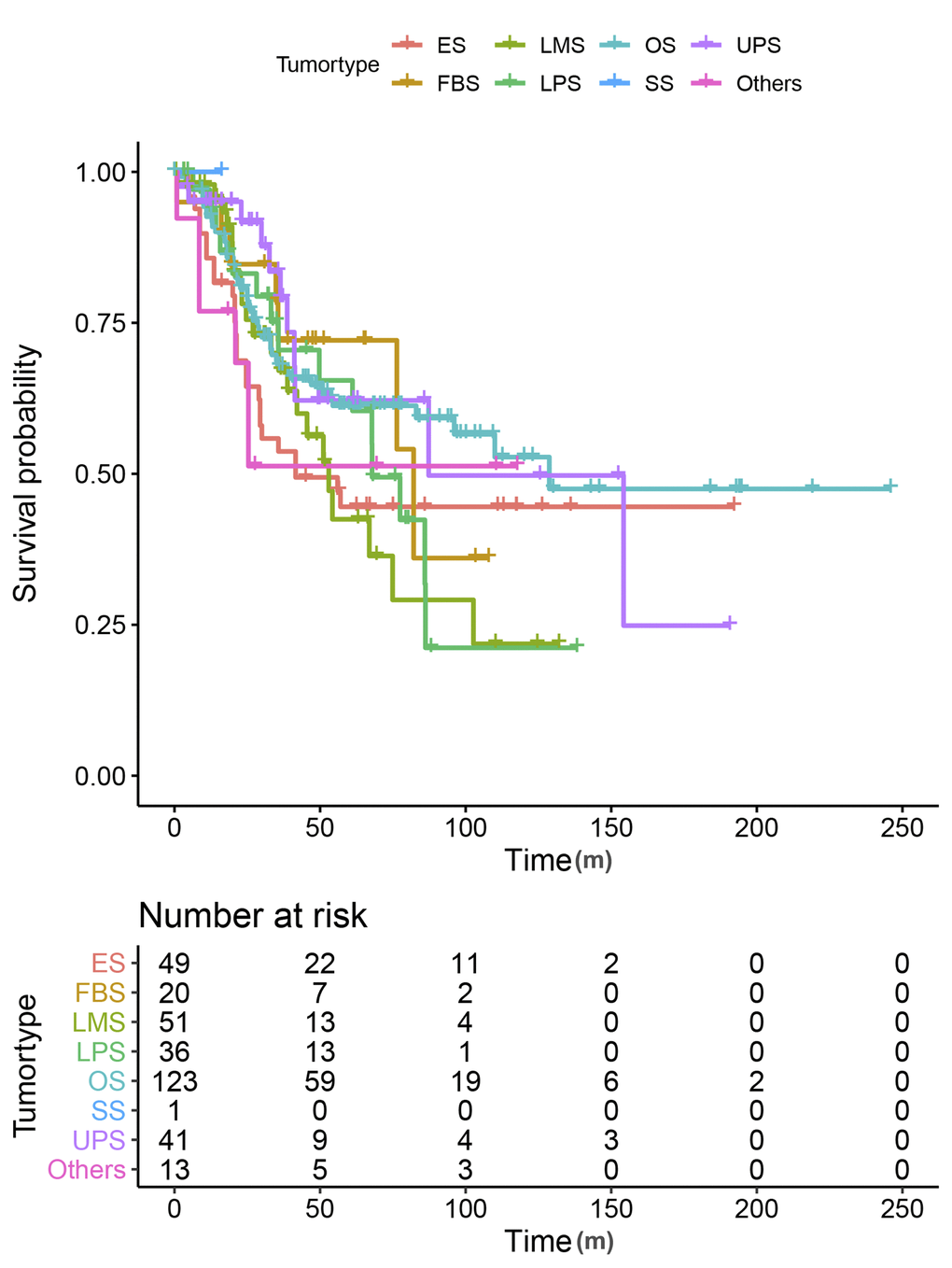 Kaplan-Meier curves for overall survival by tumor types.