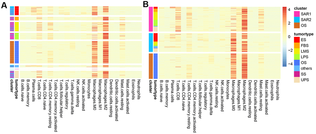 Heatmap of immune composition. (A) Samples were clustered by tumor types; (B) samples were clustered by the results of K-means.