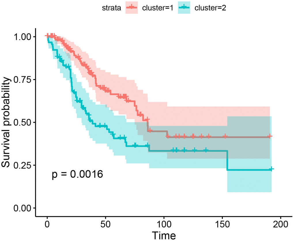 Kaplan-Meier curves for overall survival by the results of K-means.