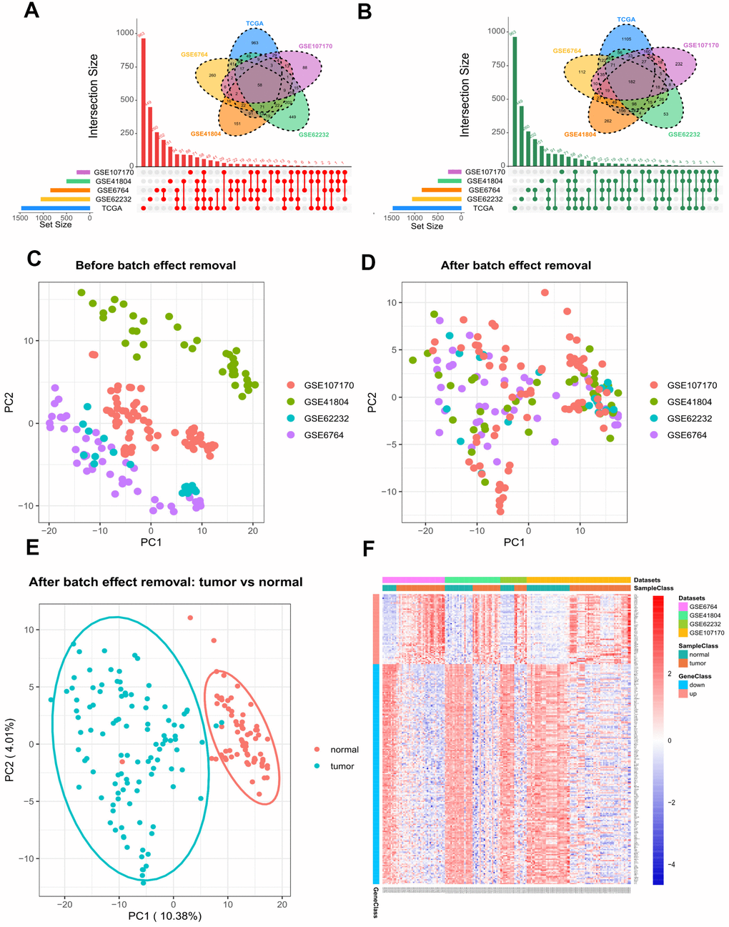 Differential gene expression between HCV-HCC tumor and adjacent normal tissues. (A, B) The combination of Venn plot and Upset plot showing the common upregulated genes (A) and the common downregulated genes (B) in HCV-HCC according to five public datasets. The screening criteria was set as |log Fold change (FC)| > 1 and FDR (adj.P.Val) C, D) Principal component analysis (PCA) for the gene expression profiles from four microarray datasets before (C) and after (D) batch effect removal. The colors represent different datasets. (E) scatter plots visualizing the identified clusters of the tumor and normal samples based on the combined dataset. (F) Heatmap of the 240 DEGs showing their expression values for each patient. The scale bar indicates the gene expression value. Red indicates high expression level, and blue indicates low expression level. HCV-HCC, HCV- associated HCC. DEGs, differentially expressed genes.