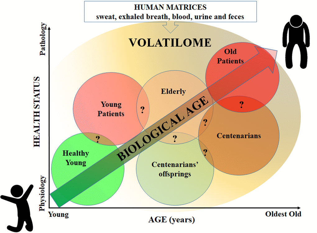 Classification of people groups based on VOCs profile according to the hypothesis that VOCs profile can discriminate age and health status. Question marks indicate possible areas of VOCs overlapping between groups (to be determined).
