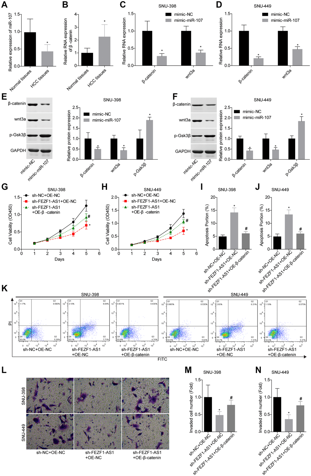 Downregulation of FEZF1-AS1 inhibited the proliferation and invasion of HCC cells by targeting miR-107/Wnt/β-catenin axis. (A, B) The expression levels of miR-107 and β-catenin mRNA in HCC tissues and adjacent normal tissues were determined using qRT-PCR. (C–F) The relative expression levels of β-catenin, wnt3a and/or p-GSK3β were detected by qRT-PCR and western blot after cell transfection with mimic-NC and mimic-miR-107, *P G, H) Cell proliferation was detected by CCK8 assay, *P #P I–K) Cell apoptosis was detected by flow cytometry, *P #P L–N) Cell invasion was accessed by transwell chamber assay, *P #P 