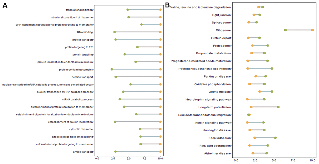 (A) Enriched GO terms. Green: Log10 p-value from over-representation analysis (ora), orange: Log10 p-value from pathway-level analysis (plage). (B) Enriched KEGG pathways. Green: Log10 p-value from over representation analysis (ora), orange: Log10 p-value from pathway-level analysis (plage).