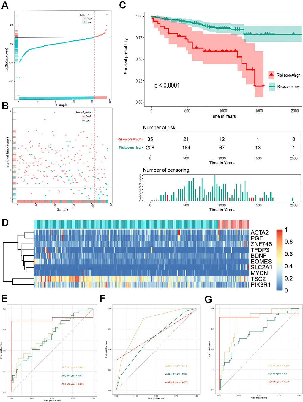 Risk score analysis, Kaplan-Meier analysis and time-dependent ROC analysis of ten-gene signature in ICGC cohort. (A) Risk score analysis of ten-gene signature in ICGC cohort. (B) Distribution of risk score. (C) Kaplan-Meier analysis of ten-gene signature in ICGC cohort. (D) Heatmap of ten gene signature. (E) Time-dependent ROC analysis of ten-gene signature in total cohort. (F) Time-dependent ROC analysis of ten-gene signature in training set. (G) Time-dependent ROC analysis of ten-gene signature in testing set. ROC, receiver operating characteristic curve; ICGC, International Cancer Genome Consortium.