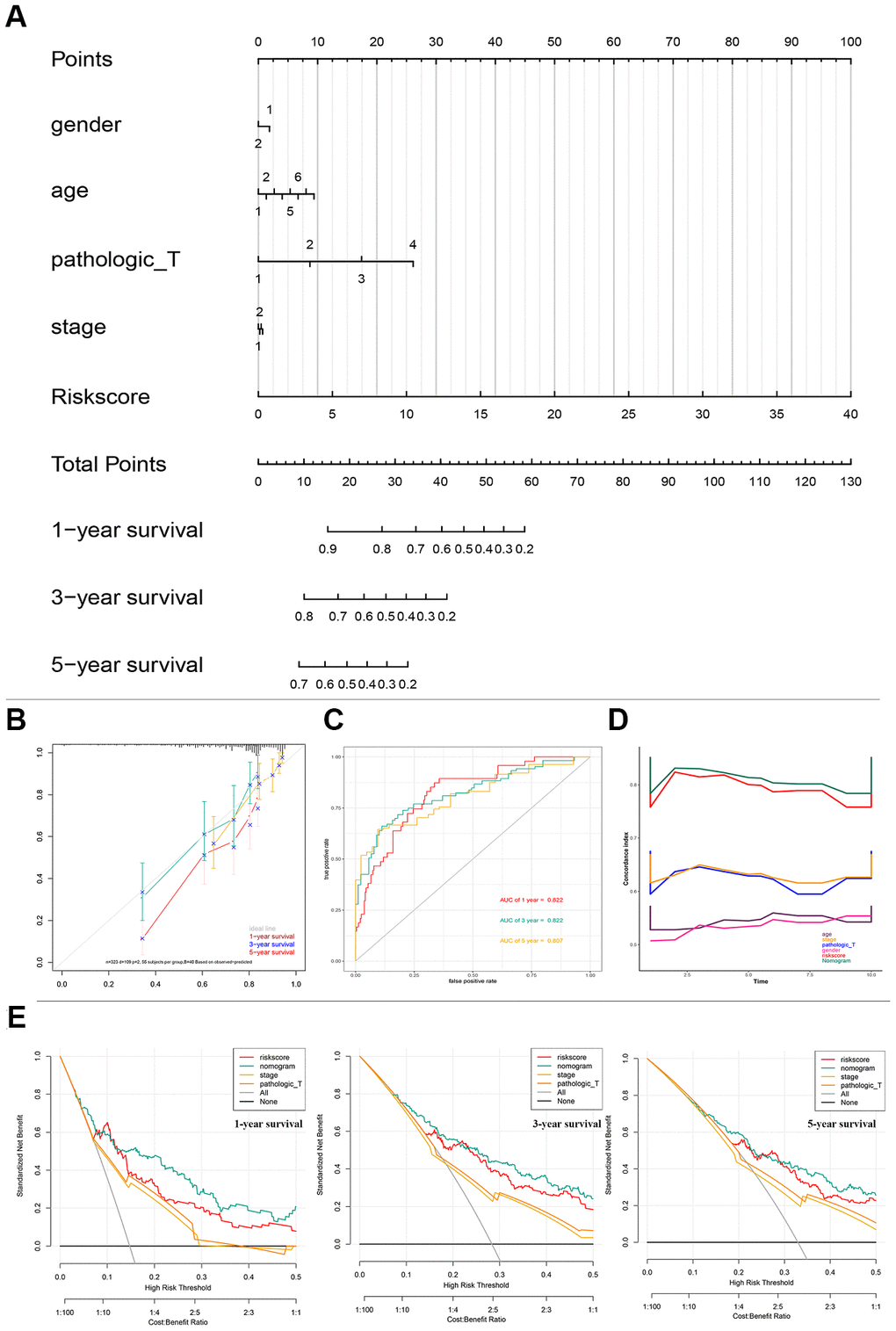 Nomogram predicting overall survival for HCC patients in TCGA cohorts. (A) A prognostic nomogram predicting 1-, 3-, and 5- year OS of HCC. (B) Calibration plots of the nomogram. (C) Time-dependent ROC analysis of nomogram predicting 1-, 3-, and 5- year OS of HCC. (D) C-index of the nomogram. (E) Decision curve analysis of nomogram predicting 1-, 3-, and 5- year OS of HCC comparing the risk score, stage and Pathologic T. HCC, hepatocellular carcinoma; TCGA, The Cancer Genome Atlas; OS, overall survival; ROC, receiver operating characteristic curve.