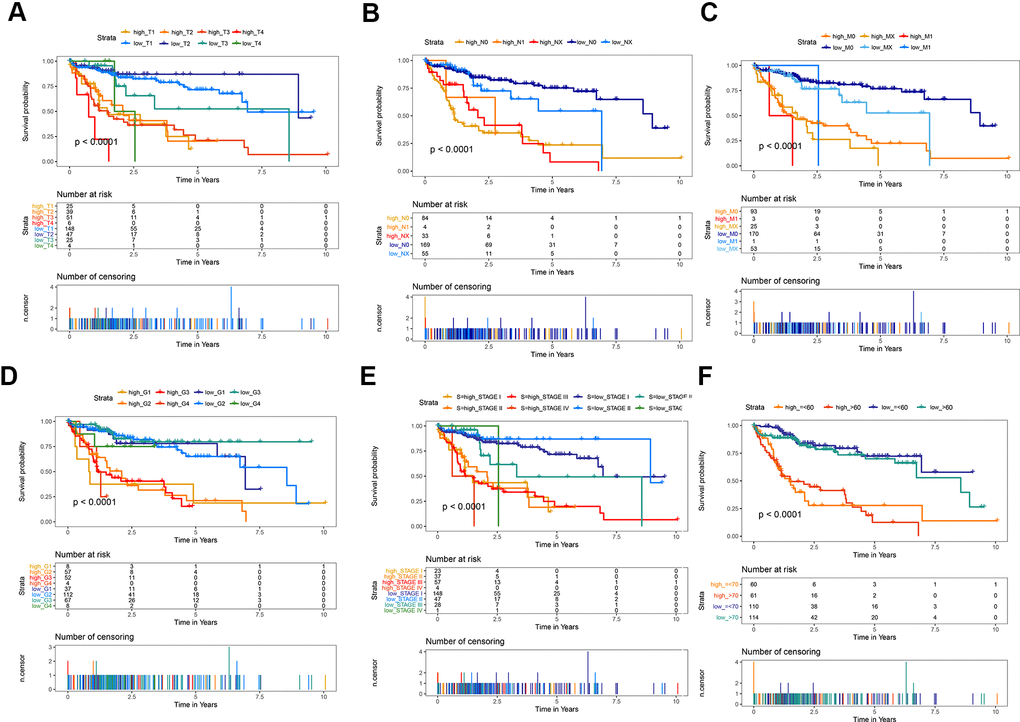 Kaplan-Meier survival analysis of the gene signature compared with clinical indicators. (A) T stage; (B) N stage; (C) M stage; (D) tumor grade; (E) AJCC stage; (F) Age.