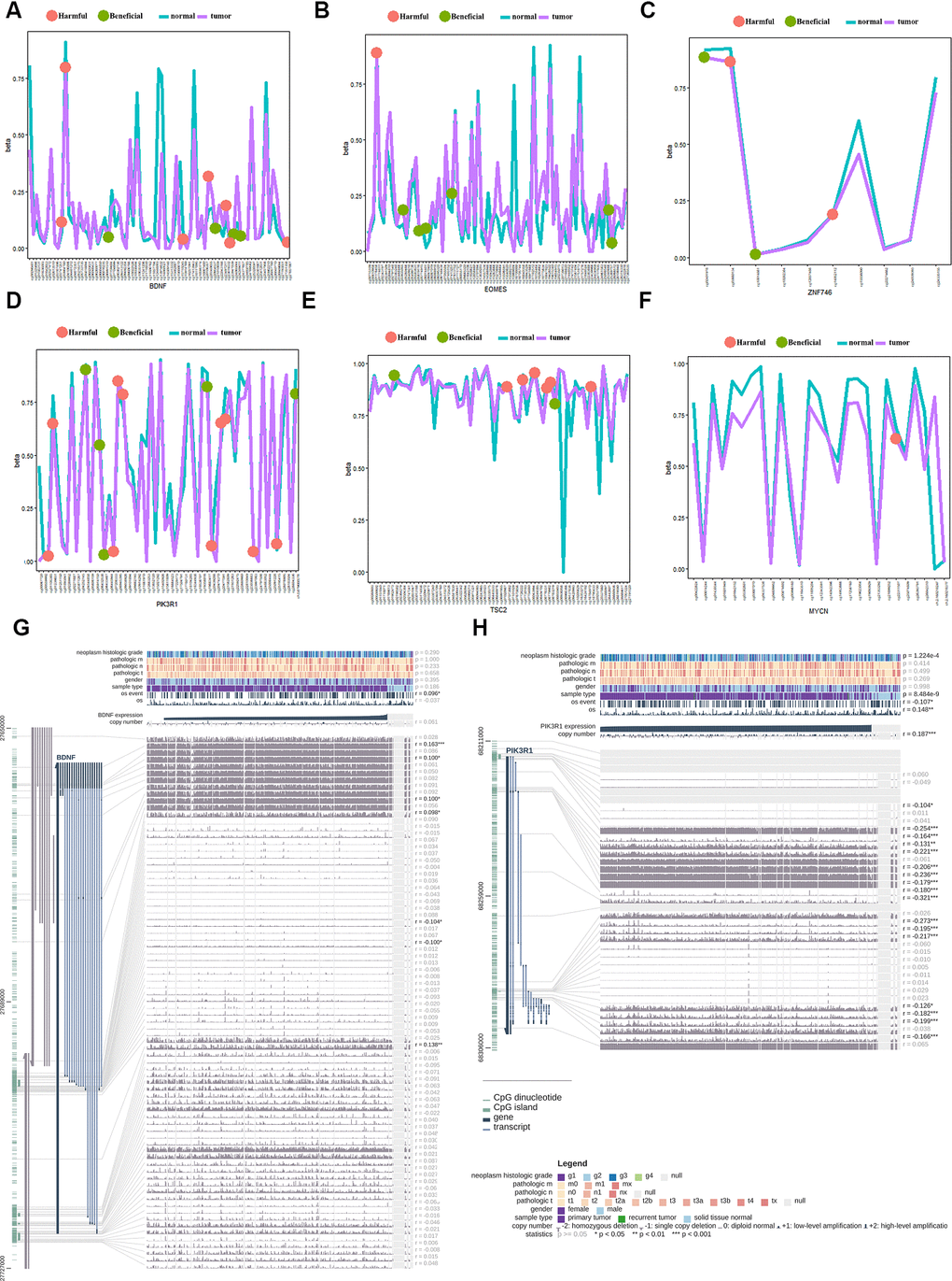 Gene methylation analysis of the gene signature between the tumor and normal tissues. (A) beneficial and harmful methylation sites in BDNF; (B) beneficial and harmful methylation sites in EOMES; (C) beneficial and harmful methylation sites in ZNF746 gene; (D) beneficial and harmful methylation sites in PIK3R1gene; (E) beneficial and harmful methylation sites in TSC2 gene; (F) beneficial and harmful methylation sites in MYCN gene; (G) The methylation of BDNF gene significantly correlated with the OS of HCC patients; (H) The methylation of PIK3R1 gene significantly correlated with the OS of HCC patients. HCC, hepatocellular carcinoma; OS, overall survival; ROC, receiver operating characteristic curve.