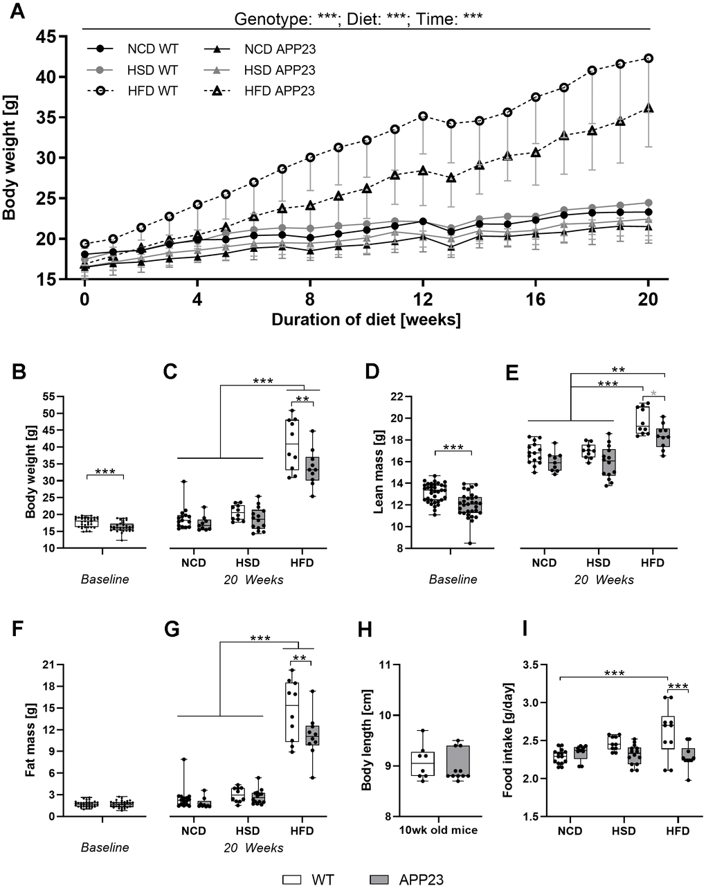 Body weight, body composition, body length, and food intake. (A) Development of body weight during 20 weeks of dietary intervention (NCD, HSD or HFD). (B) Body weight at baseline (week 0). (C) Body weight after 20 weeks of dietary intervention. (D) Lean mass at baseline (week 0). (E) Lean mass after 20 weeks of dietary intervention. (F) Fat mass at baseline (week 0). (G) Fat mass after 20 weeks of dietary intervention. (H) Exemplarily measured body length in male and female adult (mean age 10 weeks) APP23 and WT mice. (I) Mean daily food intake averaged over the entire intervention and across mice occupying the same cage. Data are represented as box (25th to 75th percentile) with median and whiskers from minimum to maximum. Black asterisks indicate significant differences between groups (*: pA), ordinary 2-way ANOVA with Tukey post-hoc test (C, G, I), multiple contrast Tukey-type test (E), or nonparametric t-test (B, D, F, H). nWeek 0 WT=35, nWeek 0 APP23=31, nNCD WT=15, nNCD APP23=9, nHSD WT=10, nHSD APP23=14, nHFD WT=10, nHFD APP23=10; for body length: nWT=8, nAPP23=11.