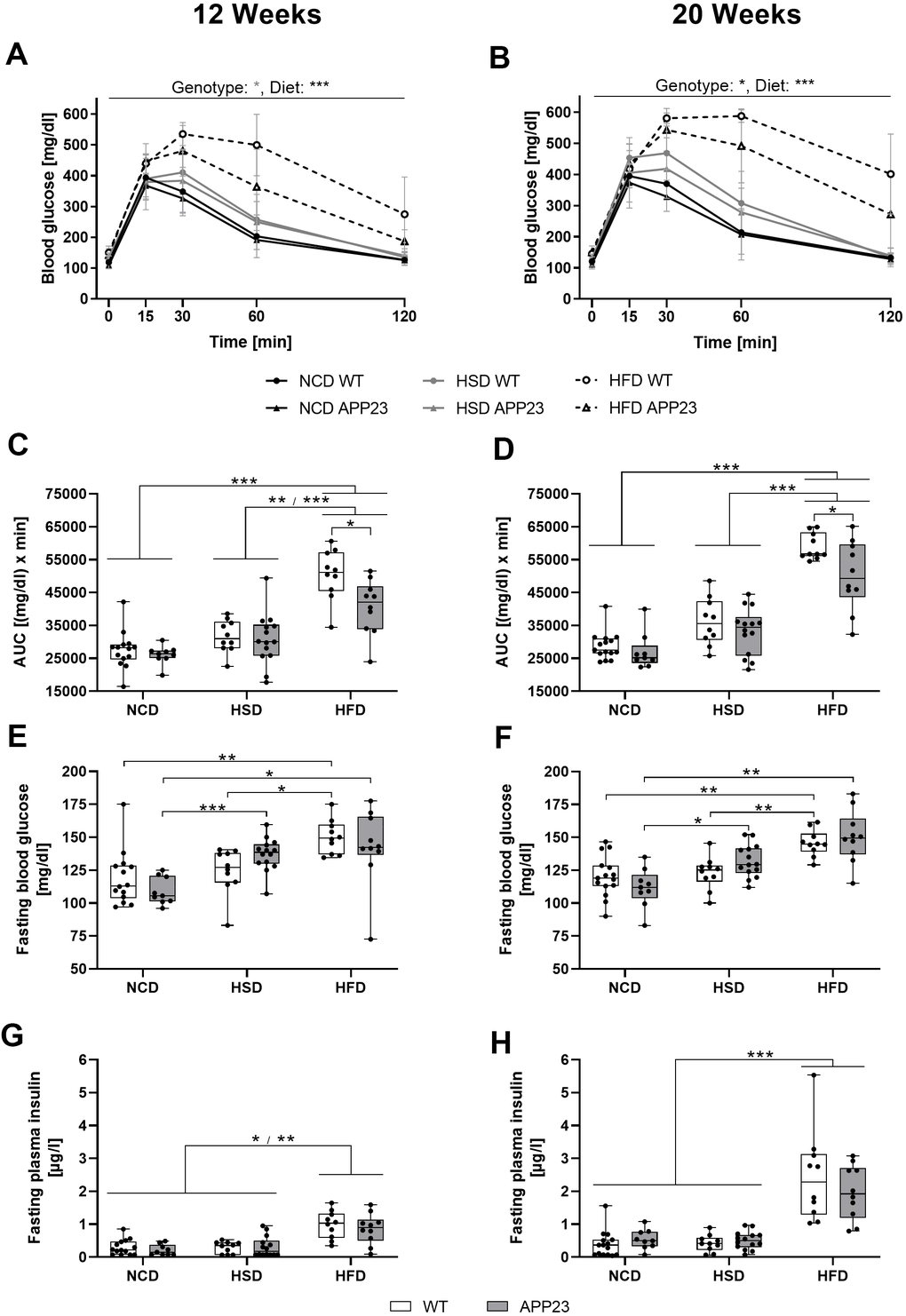 Acute glucose handling and fasting glucose homeostasis after 12 (left column) and 20 weeks (right column) of dietary interventions in APP23 and WT mice. (A, B) Course of blood glucose in an intraperitoneal glucose tolerance test (ipGTT) after 12 (A) and 20 weeks (B) and the corresponding area under the curve (AUC) (C, D). The corresponding basal blood glucose (E, F) and insulin levels (G, H) of WT and APP23 mice were analyzed after 6 h of fasting in the morning. Data are represented as box (25th to 75th percentile) with median and whiskers from minimum to maximum. Black asterisks indicate significant differences between groups (*: pA, B) ordinary 2-way ANOVA with Tukey post-hoc test (C, D) or nonparametric multiple contrast Tukey-type test (E–H). nNCD WT=15, nNCD APP23=9, nHSD WT=10, nHSD APP23=14, nHFD WT=10, nHFD APP23=10.