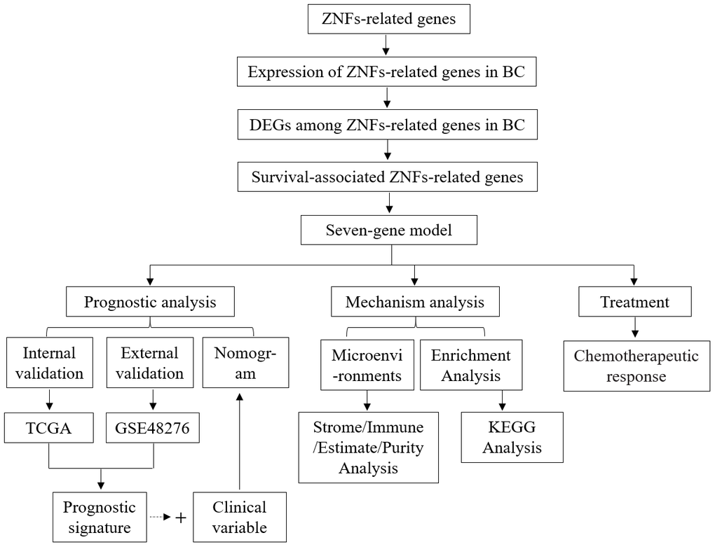 Flow chart of the study.