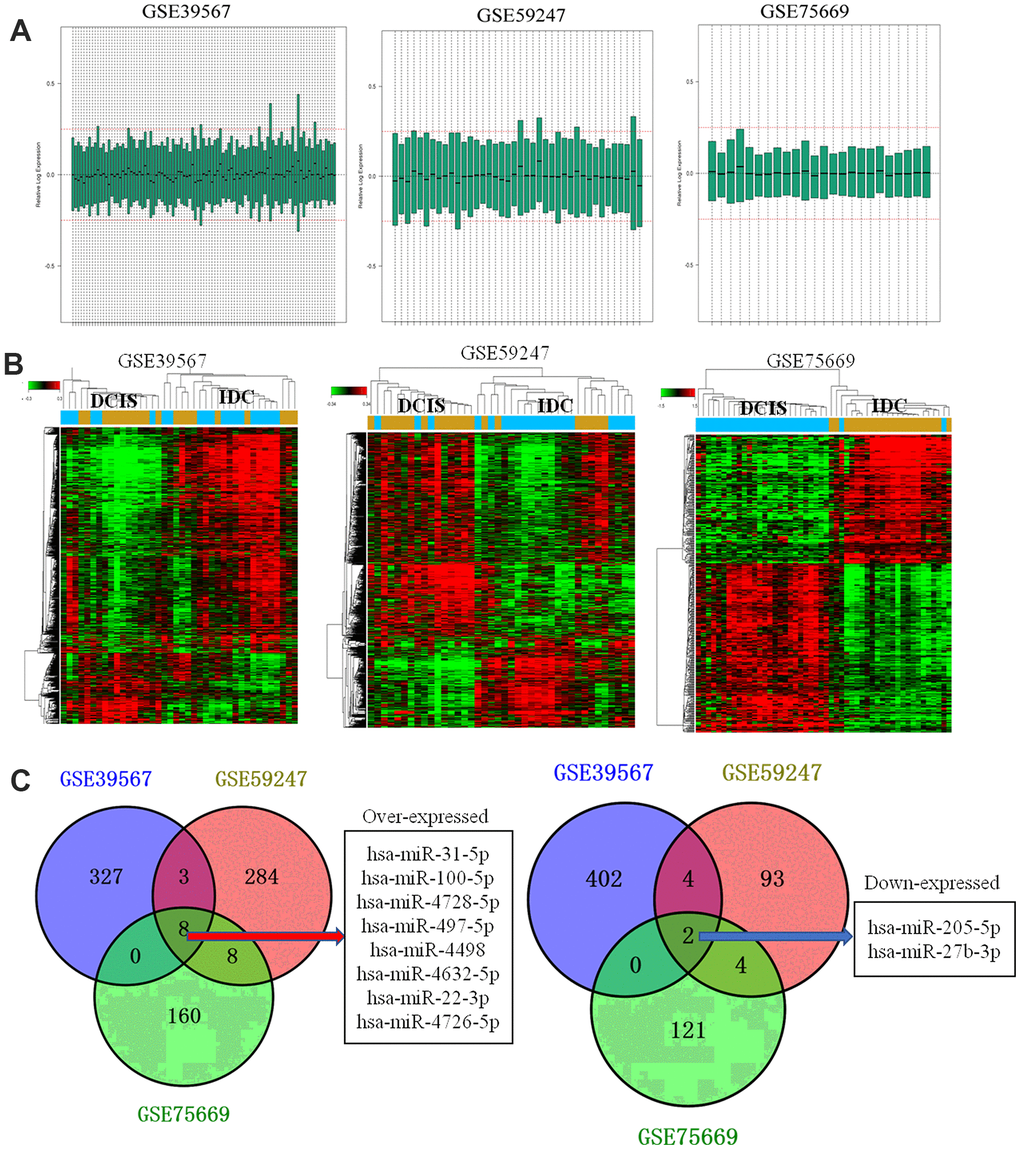 Data processing and identification of differentially expressed miRNAs. (A) Data processing results after normalization of GSE39567, GSE59247, and GSE75669; (B) Heat map showing differentially expressed miRNAs in ductal carcinoma in situ (DCIS) and invasive ductal carcinoma (IDC) samples of GSE39567, GSE59247, and GSE75669; Red and green indicated the high and lower expression, respectively. (C) Venn diagram. The overlapped differentially expressed miRNAs between different datasets were analyzed.