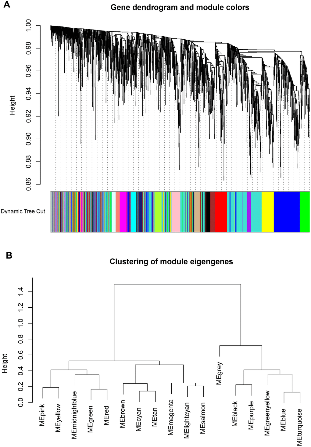 Identification key gene modules by WGCNA. (A, B) Gene cluster dendrogram and module colors. Each color represents the independent module which contains a group of highly correlated genes. A total of 3 modules were identified.