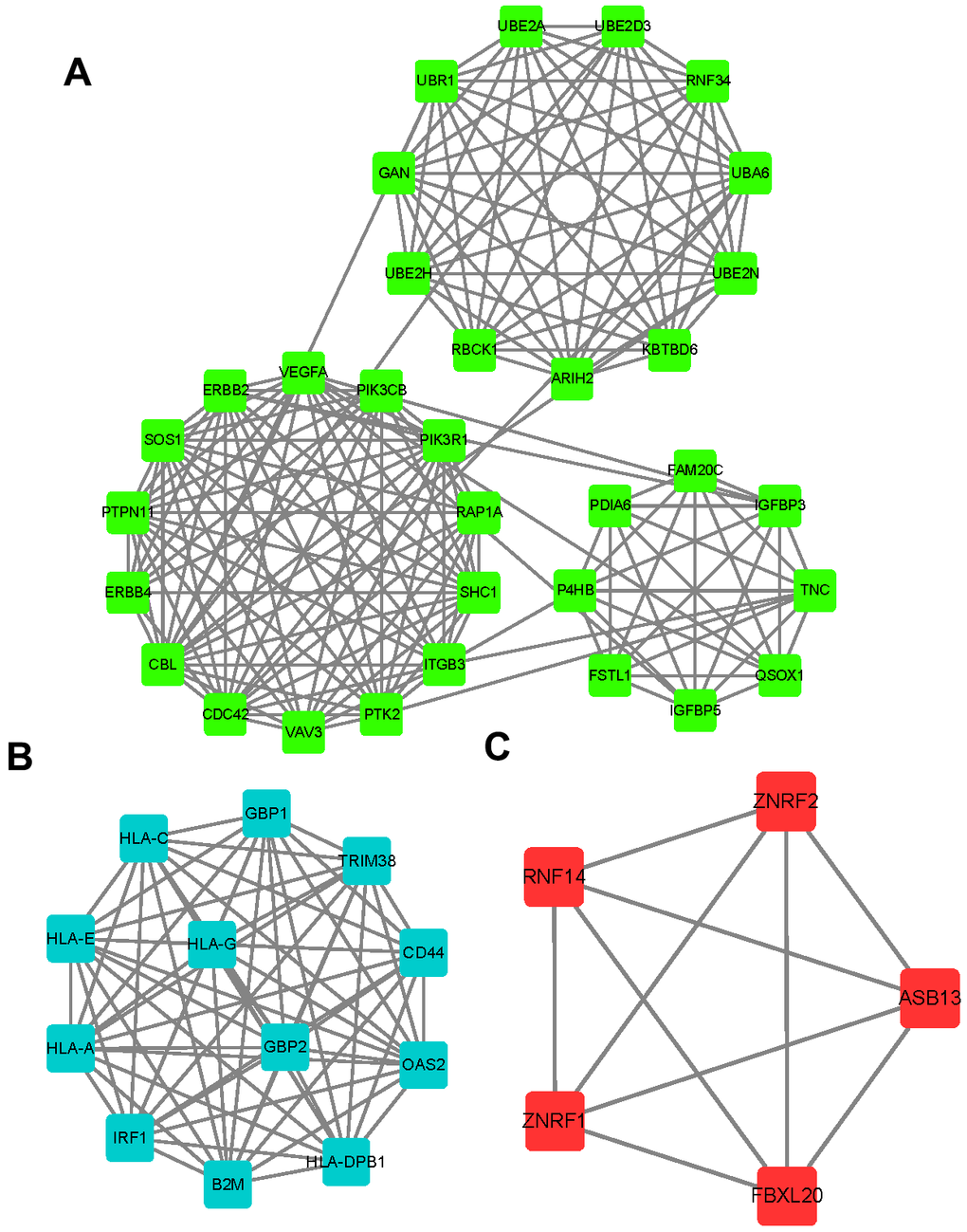 Identification of key targets of circITGA7 in glioma. Using a string database, PPI network analysis was used to identify the key targets of circITGA7 in gliomas. 33 key targets were identified in module 1 (A), 12 key targets in module 2 (B), and 5 key targets in module 3 (C).