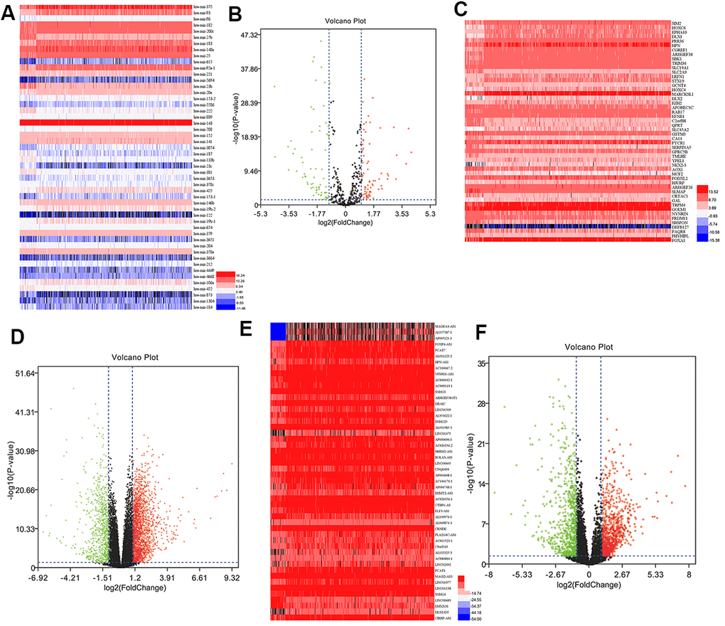 DEmiRNAs, DEmRNAs, and DElncRNAs in prostate cancer. (A) Heatmap of top 50 DEmiRNAs. (B) Volcano plot of DEmiRNAs. (C) Heatmap of top 50 DEmRNAs. (D) Volcano plot of DEmRNAs. (E) Heatmap of top 50 DElncRNAs. (F) Volcano plot of DElncRNAs. FC, fold change; DEmiRNAs, differently expressed miRNAs; DEmRNAs, differently expressed mRNAs; DElncRNAs, differently expressed lncRNAs.