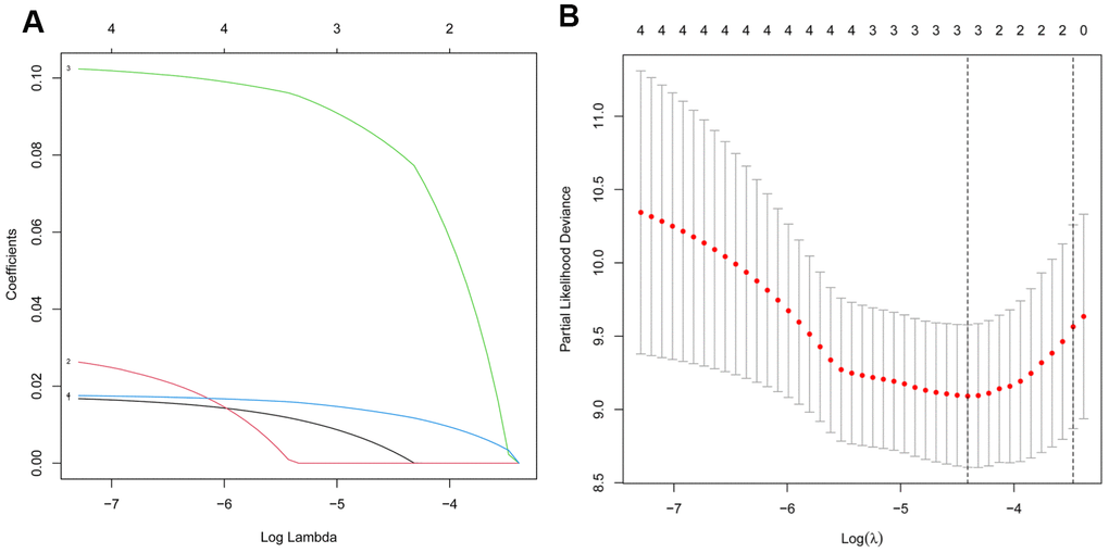 Screening of the autophagy-associated lncRNA in prostate cancer by LASSO model. (A) Plots of the cross-validation error rates. (B) LASSO coefficient profiles of the prognostic lncRNAs.