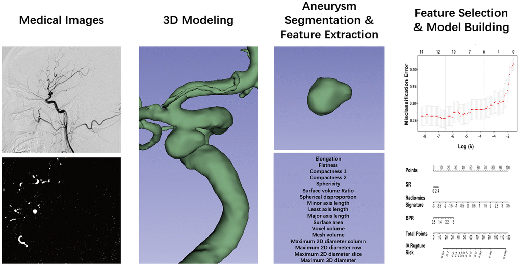 Flow chart of the study. The aneurysm was reconstructed from DSA images and using 3D slicer. The segmentation was performed by threshold and checked layer by layer. Then, the segmented label map and volume files were entered in the Pyradiomics package in the Python platform, and 17 radiomics morphological features were extracted for each aneurysm. The least absolute shrinkage and selection operator binary logistic were used to select the potential assessment factors and develop a radiomics signature. Along the radiomics morphological features, 16 traditional morphological features were combined and entered in the model construction analysis. Finally, the optimal model was performed in the nomogram.