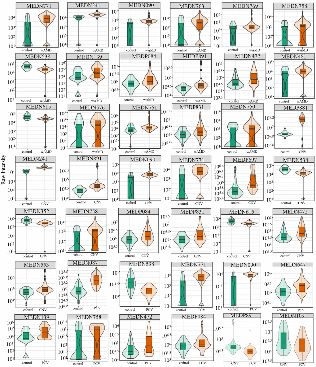 Relative contents of differential metabolites among wAMD group, CNV group, and PCV group. The box in the middle represents the quartile range, the thin black line extending from it represents the 95% confidence interval, the black horizontal line in the middle is the median, and the external shape represents the distribution density of the data. wAMD: Wet AMD group (CNV and PCV together).