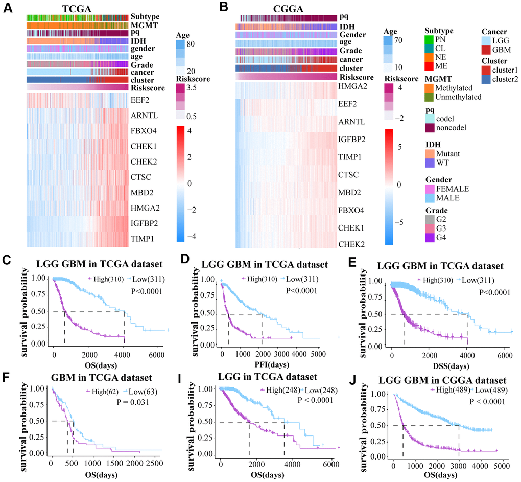 (A, B) The risk score model was established on basis of aging-related genes. (C–E) Prognosis (OS, PFI and DSS) of high and low risk score patients (LGG and GBM together) based on TCGA. (F–J) The OS of GBM and LGG glioma cases from TCGA dataset and LGG GBM glioma cases from CGGA dataset.