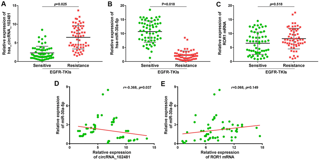 Large sample validation and correlation analysis. (A–C) RT-qPCR analysis of exosomes circRNA