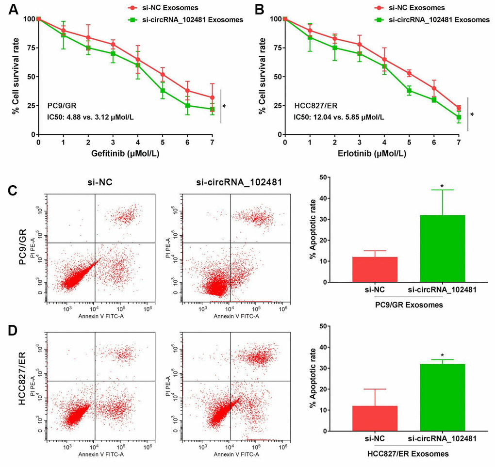 Functional validation assay of exosomes circRNA