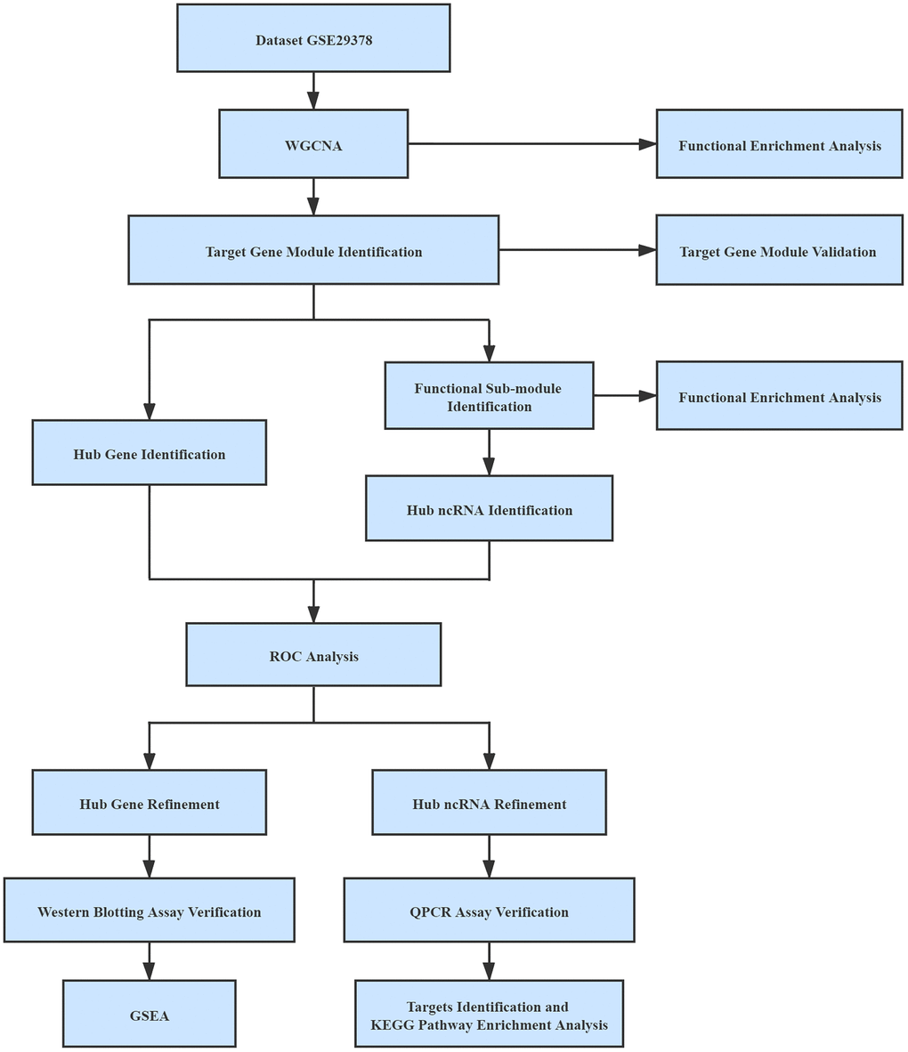 Workflow used in this study.