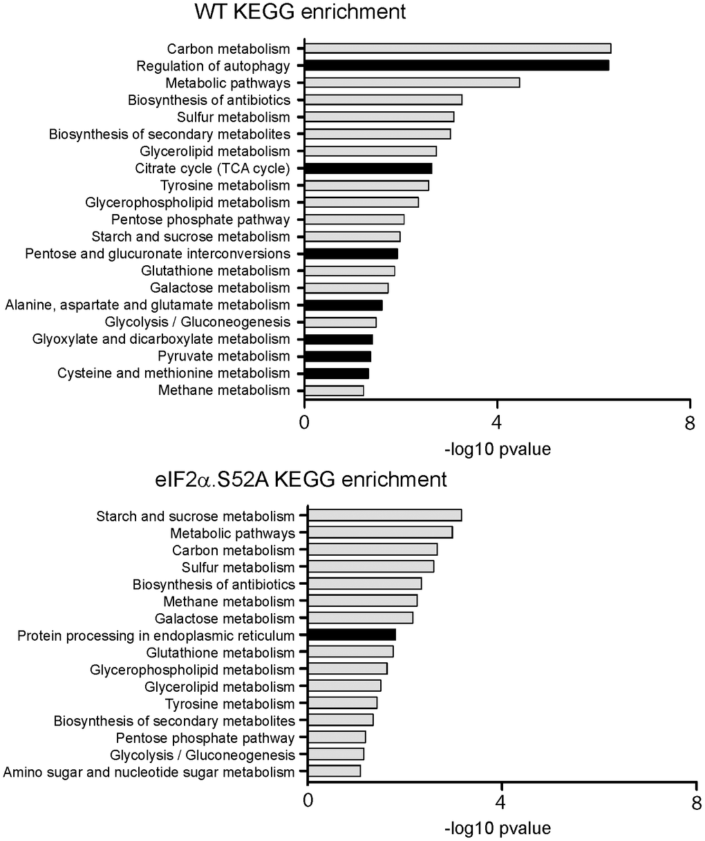 KEGG analysis of RNA-Seq data. Kyoto Encyclopedia of Genes and Genomes (KEGG) pathway enrichment analysis for up-regulated genes in wild type (WT) and eIF2α.S52A cells, according to RNA-Seq data. Dark bars denote categories enriched only in one type of cells.