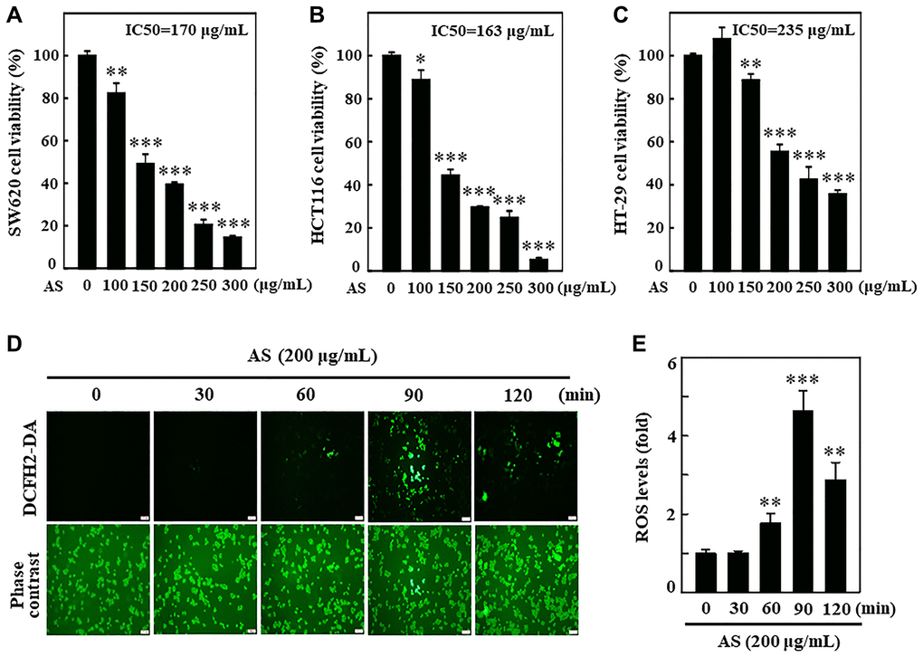 Antrodia salmonea (AS) inhibits the growth and induces intracellular ROS generation in human colon cancer cells. (A–C) SW620, HCT116, and HT-29 cells were treated with AS (0–300 μg/mL) for 24 h. Cell viability was determined using the MTT assay. (D, E) Cells were treated with 200 μg/mL AS for 0–120 min. 10 μM of DCFH2-DA was mixed in the culture medium 30 min before of each experiment and then intracellular ROS levels were measured and expressed in graph as a fold of the control. Each value is expressed as the mean ± SD (n = 3) and significant at *p **p ***p 