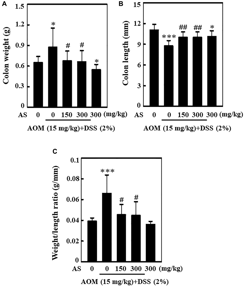 AS decreased AOM/DSS-induced colonic weight and increased AOM/DSS-induced colonic shortening of ICR mice. Mice were injected intraperitoneally with a single dose (15 mg/kg) of AOM (the first week) followed by 3 times of 2% DSS given in the drinking water every two days (the second week). AS (150 and 300 mg/kg) was given oral administration every two days. Mice were sacrificed on 15 weeks after CAC induction. (A) The entire colon was removed and the colon weight (g) and (B) length (mm) were measured. (C) Effect of AS in colon weight to colon length ratio. Statistical significance was defined as *p ***p #p ##p 