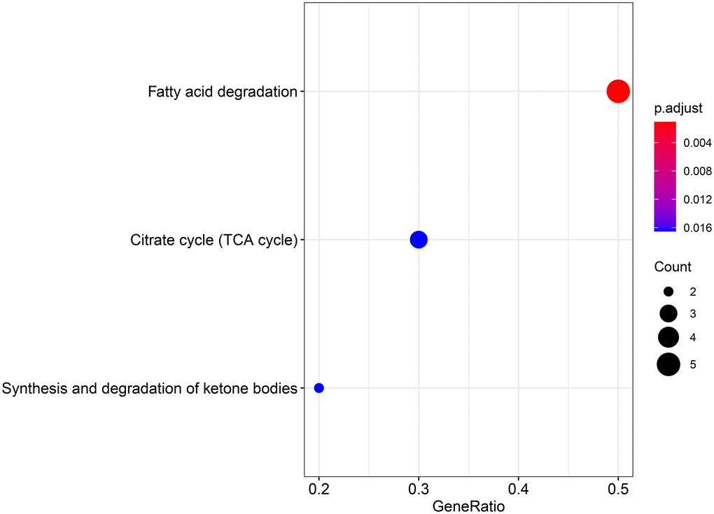 KEGG analysis showing the signaling pathway involved in the differentially expressed genes in aerobic respiration.