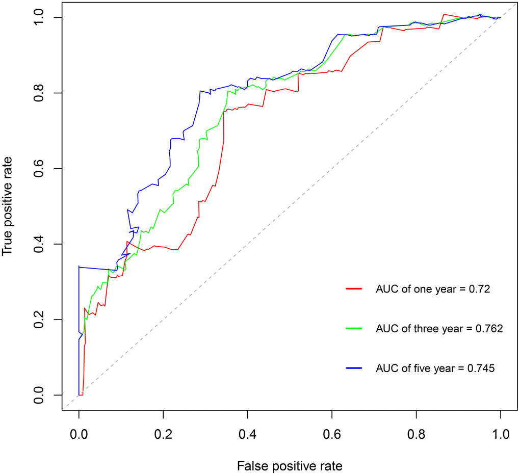 Survival-dependent receiver operating characteristic (ROC) curves showing the prognostic value of the model.
