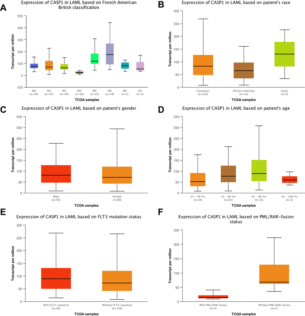 CASP1 transcription in the leukemia subgroups was stratified according to FAB classification, ethnicity, gender, age, FLT3 mutation status (UALCAN) and PML/RAR-fusion status. (A) CASP1 mRNA expression with different FAB classification was shown in leukemia. (B) CASP1 mRNA expression with different ethnicity was shown in leukemia. (C–F) Boxplot showed relative expression of CASP1 in LAML in gender, age, FLTS mutation status, PML/RAR-fusion, respectively. Using t-test to assess the differences in gene expression levels between groups.