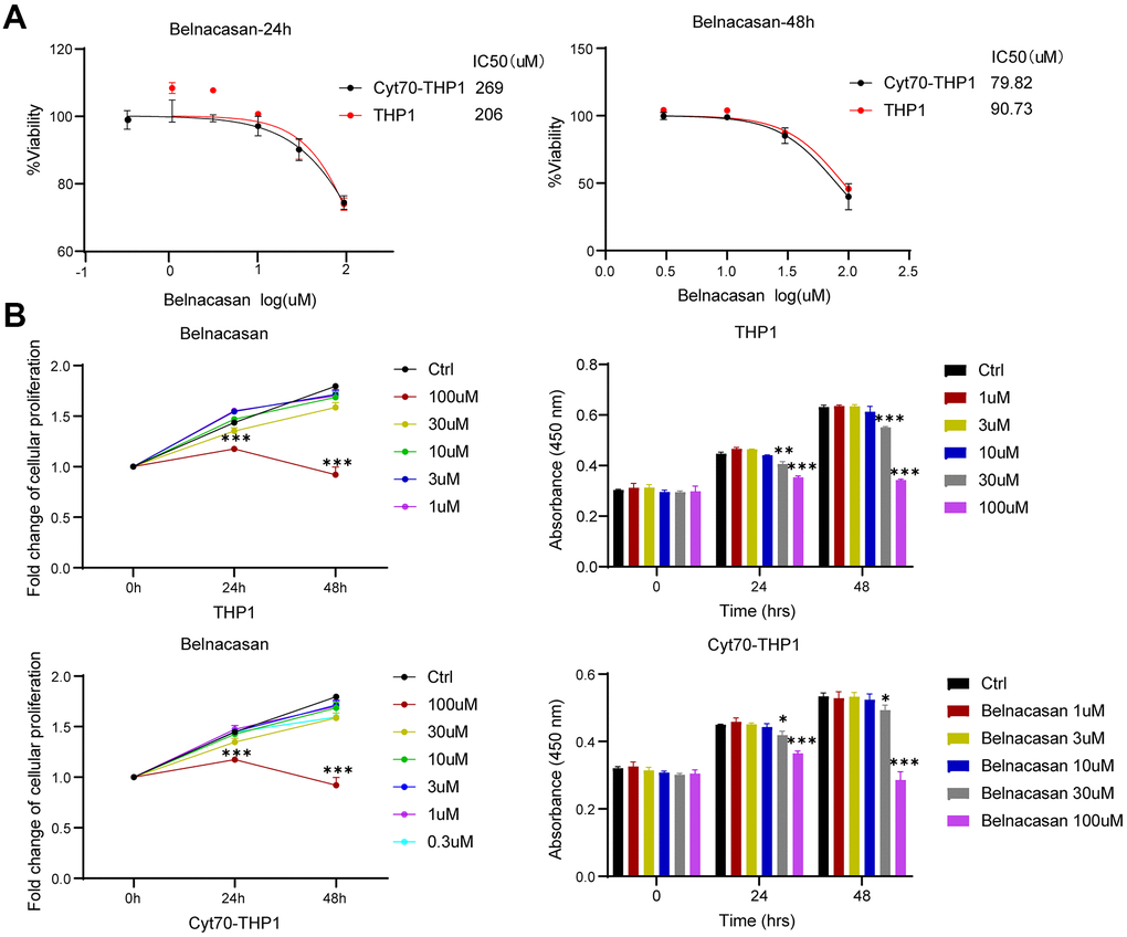 Inhibition of CASP1 impairs the proliferation of THP1 and Cyt70-THP1. (A) CCK-8 assay was used to investigate the IC50 of THP1 and Cyt70-THP1 after CASP1 inhibition for 24 and 48h. (B) CCK-8 assay was used to investigate the proliferation of THP1 and Cyt70-THP1 after CASP1 inhibition for 24 and 48h. * p 