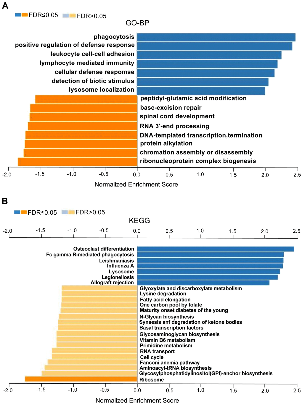 GO annotations and KEGG pathways enriched with CASP1 co-expressed genes in leukemia (LinkedOmics). Using GSEA to analyze the significantly enriched GO