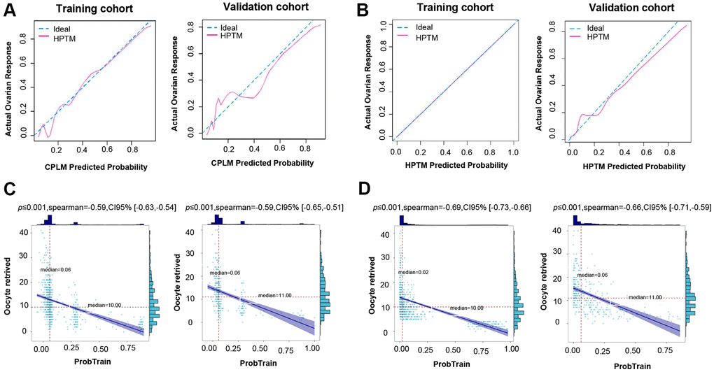 Validation of CPLM and HPTM. (A) The calibration plot for training and validation data was used to analyze the consistency of poor ovarian response between the predicted value and the observed proportion in CPLM. (B) The calibration plot for training and validation data was used to analyze the consistency of poor ovarian response between the predicted value and the observed proportion in HPTM. (C) Correlation analysis of the CPLM score and relevant retrieved oocytes in the cohort. (D) Correlation analysis of the HPTM score and relevant retrieved oocytes in the cohort.