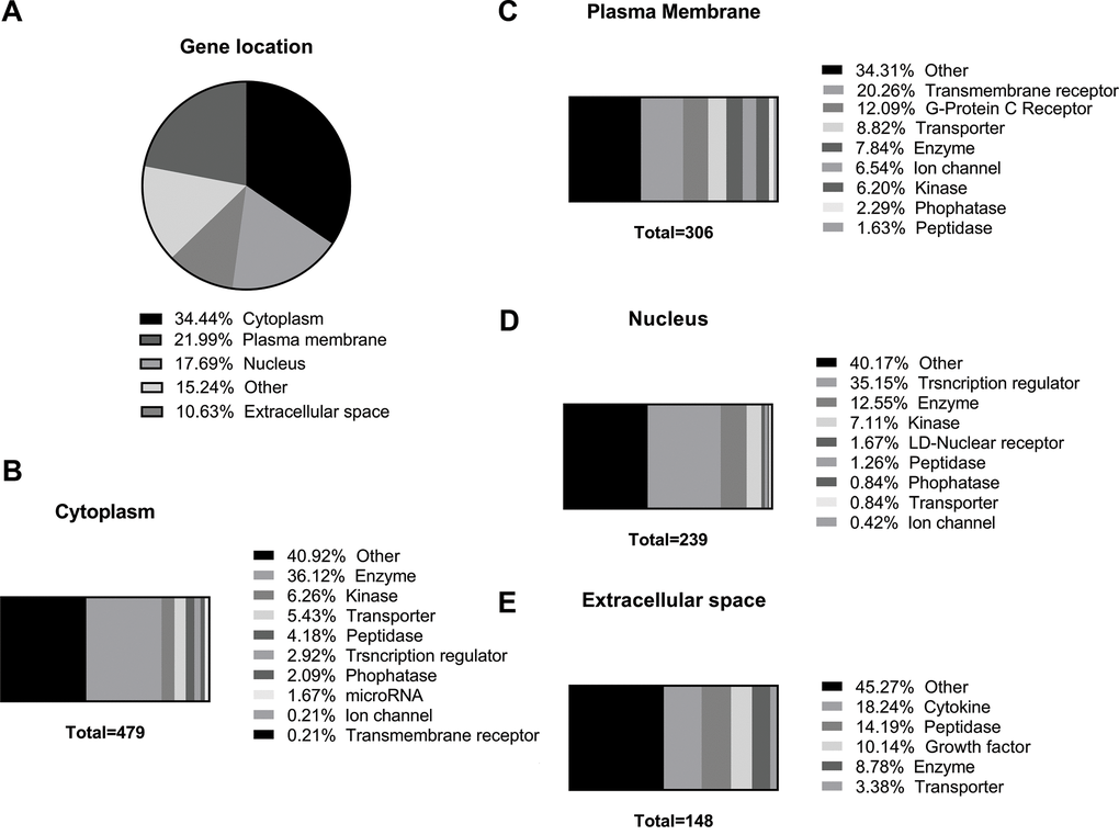 Identification of predicted cellular localization of dysregulated genes in old versus young mice lungs using Ingenuity Pathway Analysis™. (A) Pie graph of predicted cellular localization of the dysregulated 575 aged-changed genes, and their distinct molecular functions in (B) cytoplasm, (C) plasma membrane, (D) nucleus, and (E) extracellular space.