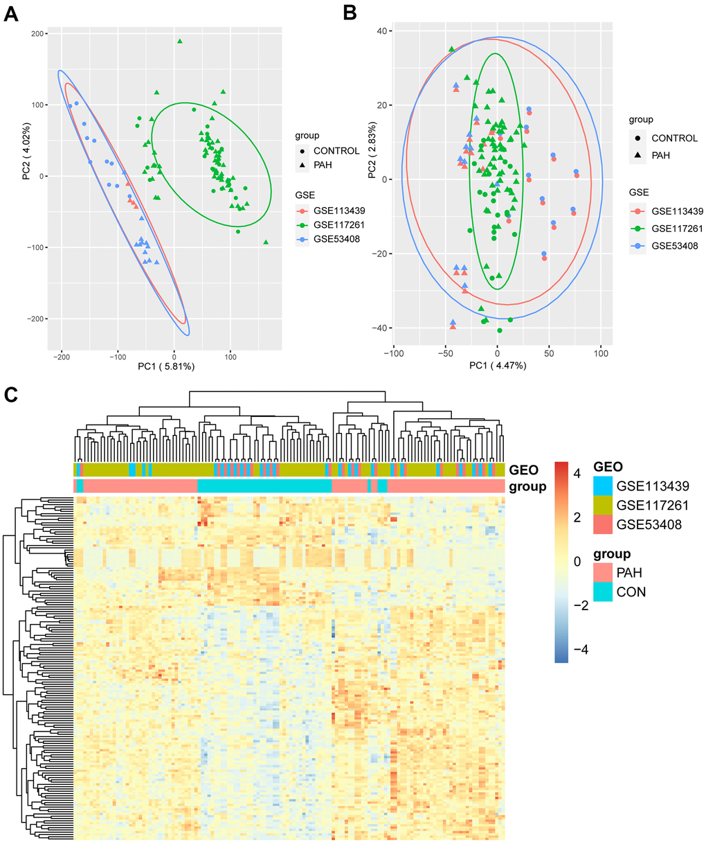 The result of DEGs identification. (A) Principal component analysis (PCA) before batch effects removement. (B) PCA after batch effects removement. (C) Heatmap of 151 DEGs screened by “Limma” package. In the differentiating gene sets (GSE113439, GSE117261 and GSE53408), samples were sorted by columns, and genes were sorted by rows. Cyan squares represented the control group, and red squares represented the PAH group. DEGs: differentially expression genes.