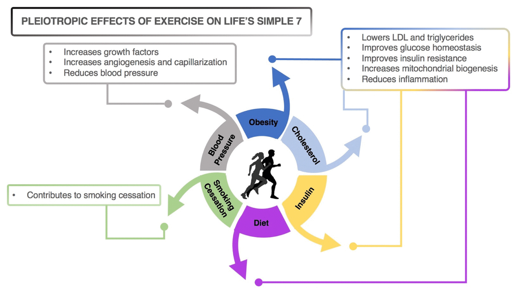 Pleiotropic effects of exercise on Life’s Simple 7.