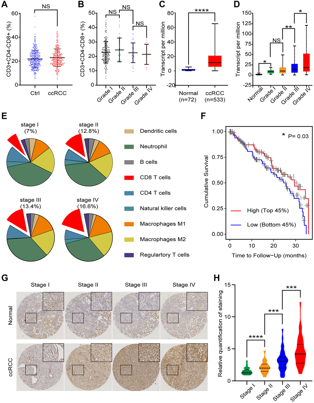 CD8+ T cells in peripheral blood and tissues of ccRCC patients. We analyzed clinical and bioinformatics data of CD8+ T cells. (A) Proportion of CD8+ T cells (CD3+CD4-CD8+) in CD3+ cells of peripheral blood from healthy people (n = 350) and ccRCC patients (n = 274). (B) Proportion of CD8+ T cells in peripheral CD3+ cells of different grades of ccRCC (grade I: n = 198; grade II: n = 28; grade III: n = 32; grade IV: n = 16). (C) CD8a transcript level of ccRCC tissues (n = 533) and normal renal tissues (n = 72) according to TCGA database. (D) CD8a transcript level of different grades ccRCC (normal: n = 72; grade I: n = 14; grade II: n = 229; grade III: n = 206; grade IV: n = 76). (E) According to TCIA database, proportion of immune cells in different grades of ccRCC tissues. (F) Cumulative survival time of patients with high level of CD8+ T cells and low level of CD8+ T cells. (G) Representative IHC image of different stage of ccRCC tissues. (H) Relative quantification of staining of ccRCC tissues. Means ± SEM of experiment performed in triplicates are shown. *P **p ****p 