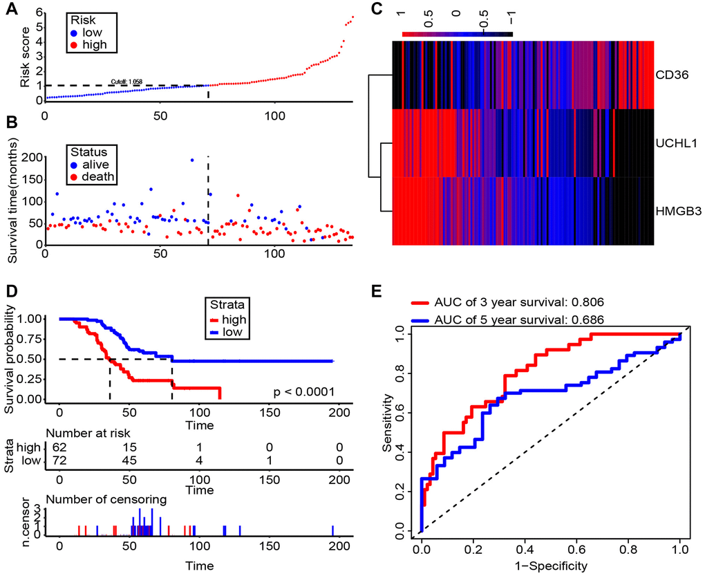 Risk score analysis of Shanghai General Hospital RCC cohort (n = 134). (A, B) The risk score and patient’s distribution were visualized with the best cut-off value 1.058. (C) Heatmap of RNA expression profiles. Rows represent RNAs and clinical traits while columns represent patients. (D) Patients were divided into low-risk (n = 72) and high-risk (n = 62) groups based on the optimal cut-off point. And Kaplan-Meier method was applied to estimate the survival status. (E) To compare the sensitivity and specificity of survival predication, ROC analysis of 3- and 5-year OS was performed based on the risk score.