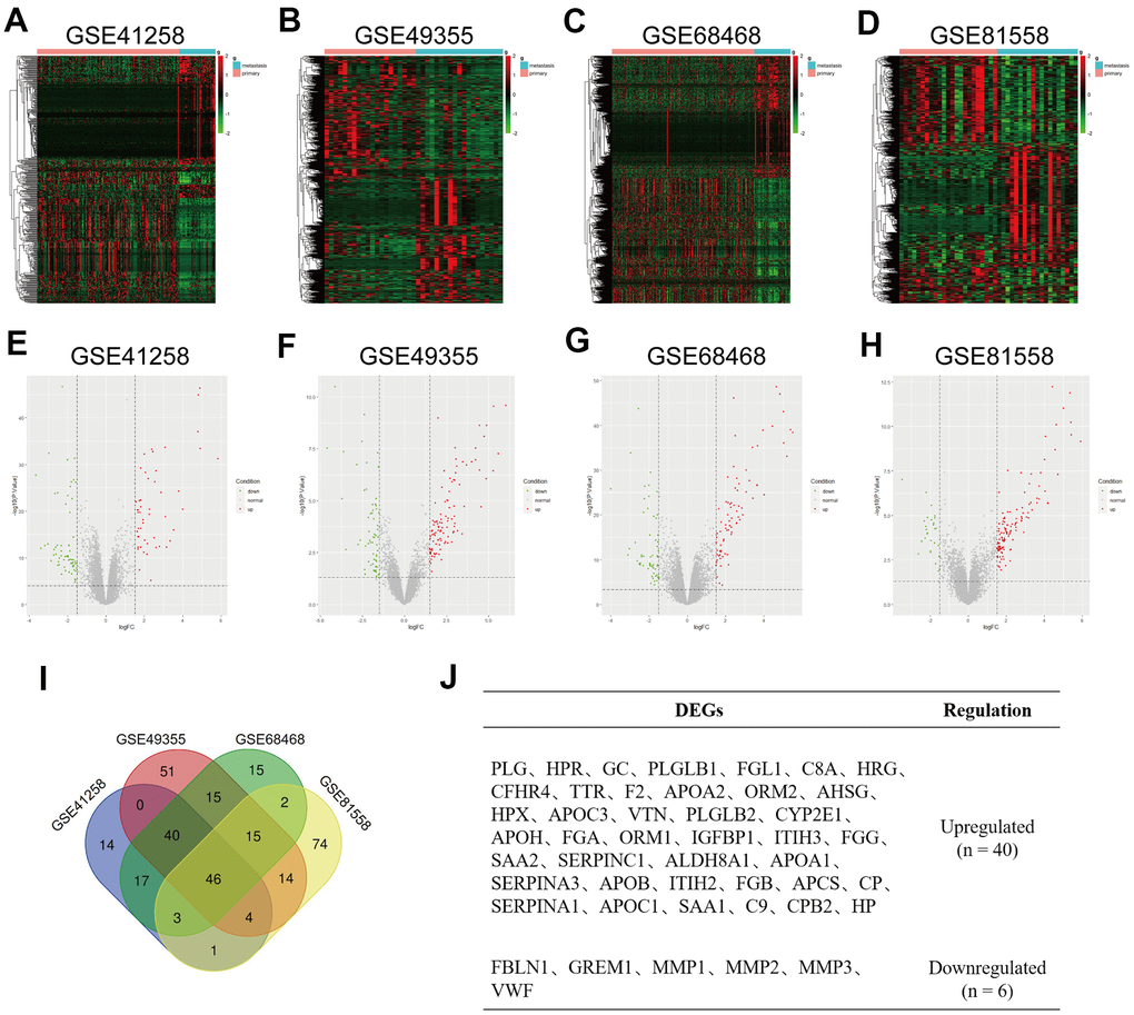 Identification of differentially expressed genes (DEGs) in colorectal liver metastases (CRLM). (A–D) Heatmap of top 500 variable of DEGs between CRC primary tumor tissues and CRC liver metastatic tumor tissues in GSE41258, GSE49355, GSE68468 and GSE81558 datasets. (E–H) Volcano plot of DEGs identified from GSE41258, GSE49355, GSE68468 and GSE81558 datasets. Green dots express downregulated DEGs, and Red dots represent upregulated DEGs under the same thresholds. The gray dots denote genes that are not differentially expressed. |log2FC| > 1.5 and P-value I) The intersection of DEGs of GSE41258, GSE49355, GSE68468 and GSE81558 datasets. (J) List of consistent DEGs, including 40 upregulated DEGs and 6 downregulated DEGs.