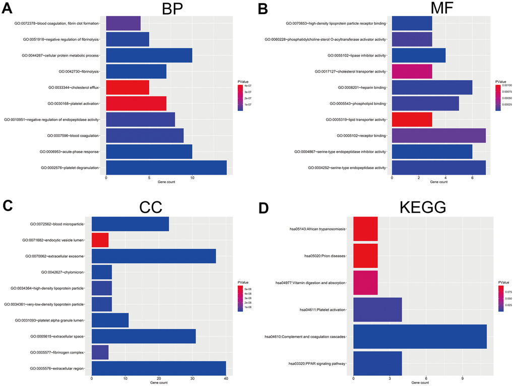 GO and KEGG pathway enrichment analysis of DEGs. (A) The top 10 enriched biological process (BP) of the 46 DEGs. (B) The top 10 enriched molecular function (MF) of the 46 DEGs. (C) The top 10 enriched cellular component (CC) of the 46 DEGs. (D) The enriched KEGG pathways of the 46 DEGs. GO, Gene Ontology; KEGG, Kyoto Encyclopedia of Genes and Genomes.
