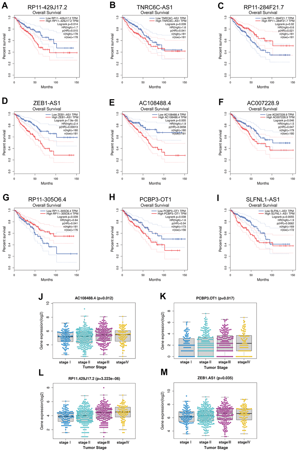 Survival analysis and expression analysis of upstream key lncRNAs. (A–I) Prognostic value of the nine lncRNAs (RP11-429J17.2, TNRC6C-AS1, RP11-284F21.7, ZEB1-AS1, AC108488.4, AC007228.9, RP11-305O6.4, PCBP3-OT1, SLFNL1-AS1) in CRC by using GEPIA database. (J–M) Expression analysis grouped by tumor stage of the four lncRNAs (RP11-429J17.2, AC108488.4, PCBP3-OT1, ZEB1-AS1) in CRC by using TCGA project.