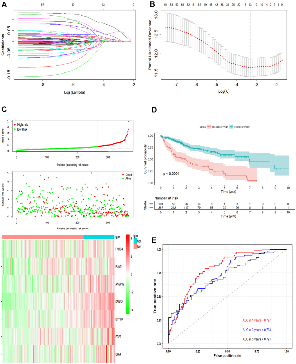 Development the prognostic model. (A, B) Lasso regression analysis results. The trajectory of each independent variable, the horizontal axis represents the log value of the independent variable lambda, and the vertical axis represents the coefficient of the independent variable. The tuning parameter (λ) was calculated based on the partial likelihood deviance with ten-fold cross validation. The dotted vertical lines are drawn at the optimal values by minimum criteria and 1-SE criteria. (C) The risk scores distribution, survival status, and gene expression patterns of patients in high and low-risk groups. The dot presents patient status ranked by the increasing risk score. The X axis is patient number and Y axis is survival time. (D) Kaplan–Meier survival curve of two groups. (E) The time-dependent ROC curves analyses of two groups.