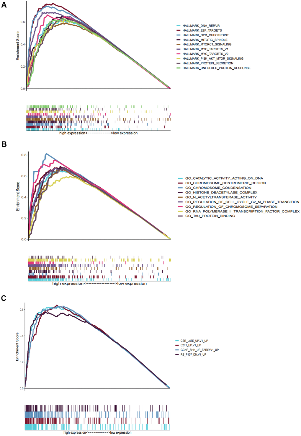 Gene set enrichment analyses between high and low risk group in TCGA. (A) The top ten significantly enriched cancer hallmarks in high-risk group. (B) The significantly enriched GO terms in high-risk group. (C) The significantly enriched oncological signatures in high-risk group.