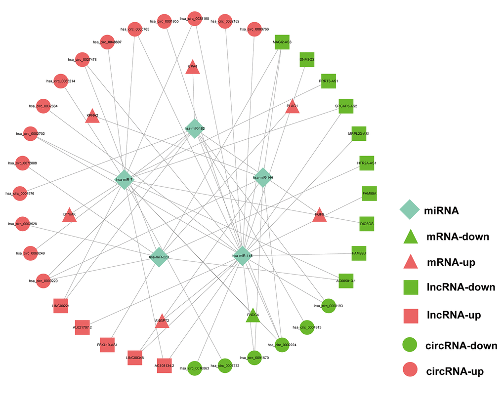 Prognostic circRNA-lncRNA-miRNA-mRNA ceRNA Network in HCC.