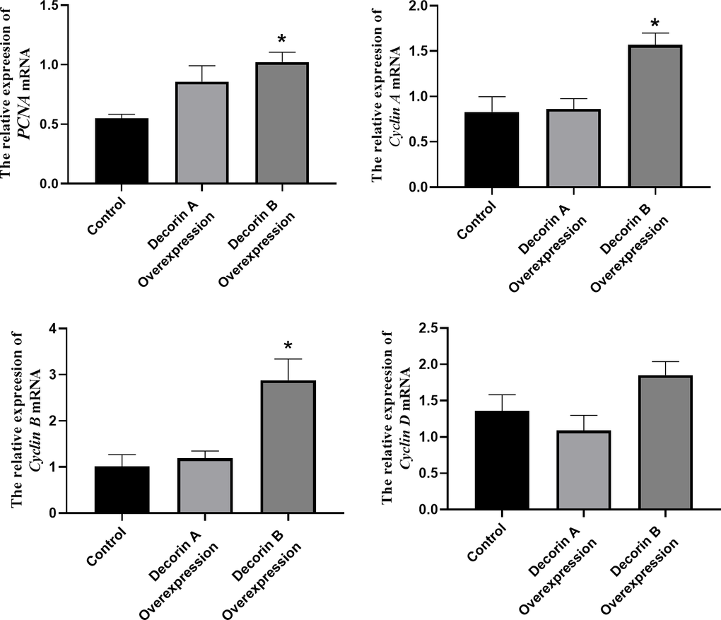 The effect of decorin A and B on the expression of proliferation-related genes in BxPC-3 cells.